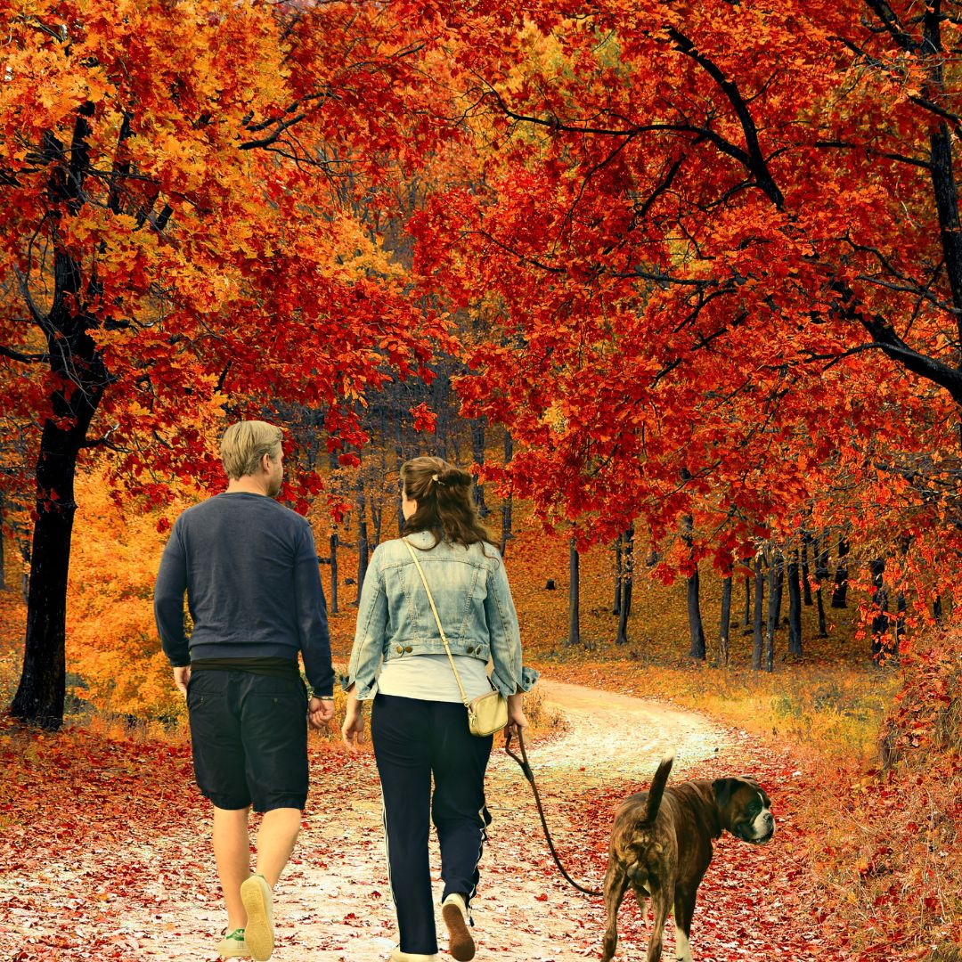 Turning the Leaf for Better Health: Embrace Fall to Jumpstart Your Wellness Journey