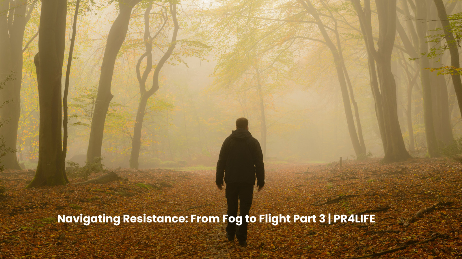 Navigating Resistance: From Fog to Flight – Part 3: The Friction