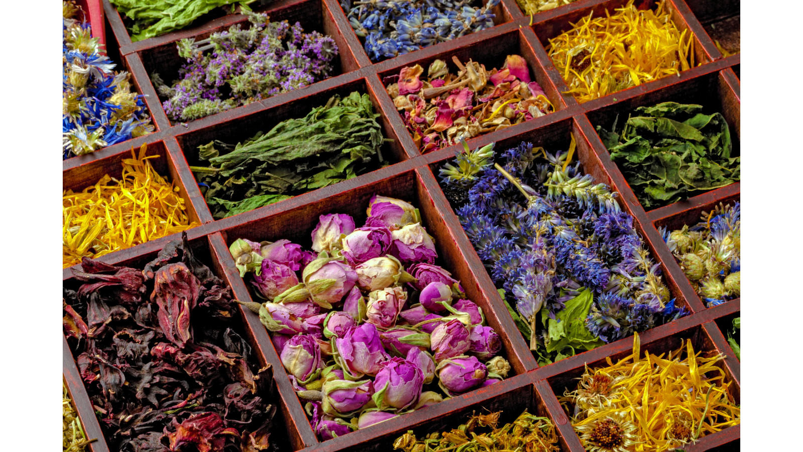 Beyond Biohacking: Why Women 45+ Need a Different Path to Vitality
