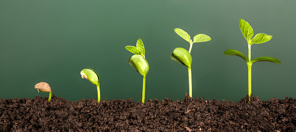 Already Aligned By Design® — Activating Your Divine Blueprint in the Era of Conscious Evolution