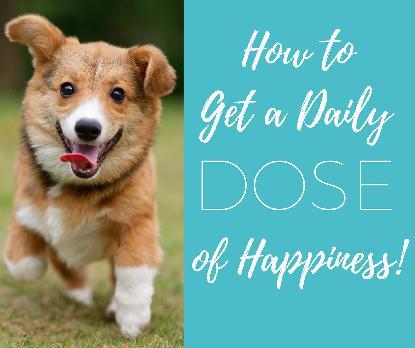 How to Get your Daily DOSE of Happiness