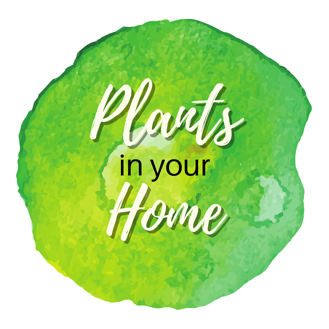 Plants in your home