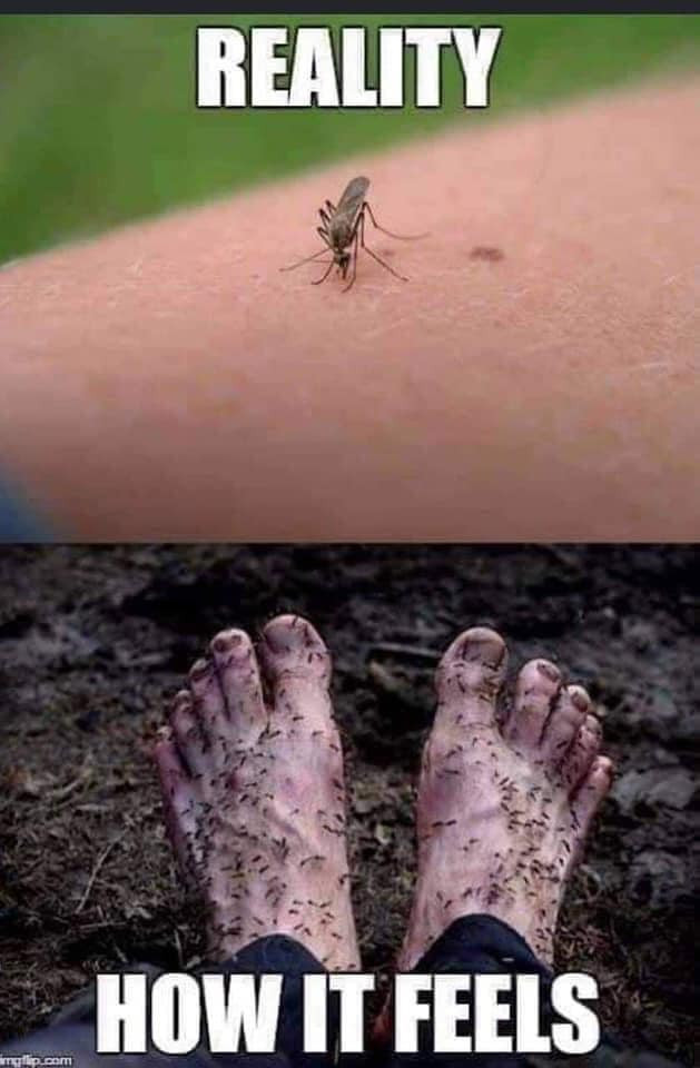 Mosquito, Tick and Bug Spray