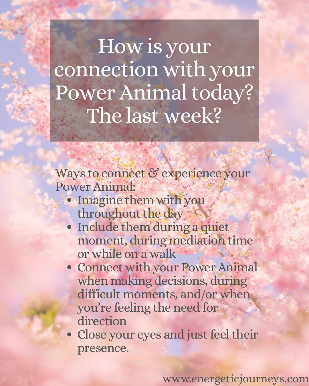 How is your connection with your Power Animal today? The last week?