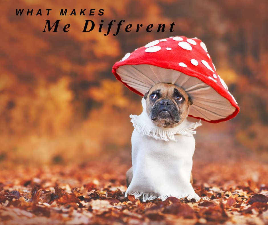 Unique Value Proposition: Owning my Shiz and Shining It Bright