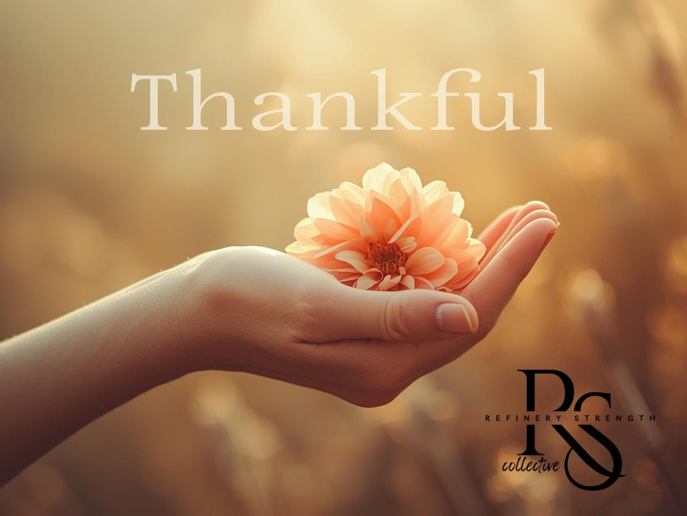 Why Gratitude Makes You Stronger (Inside & Out)