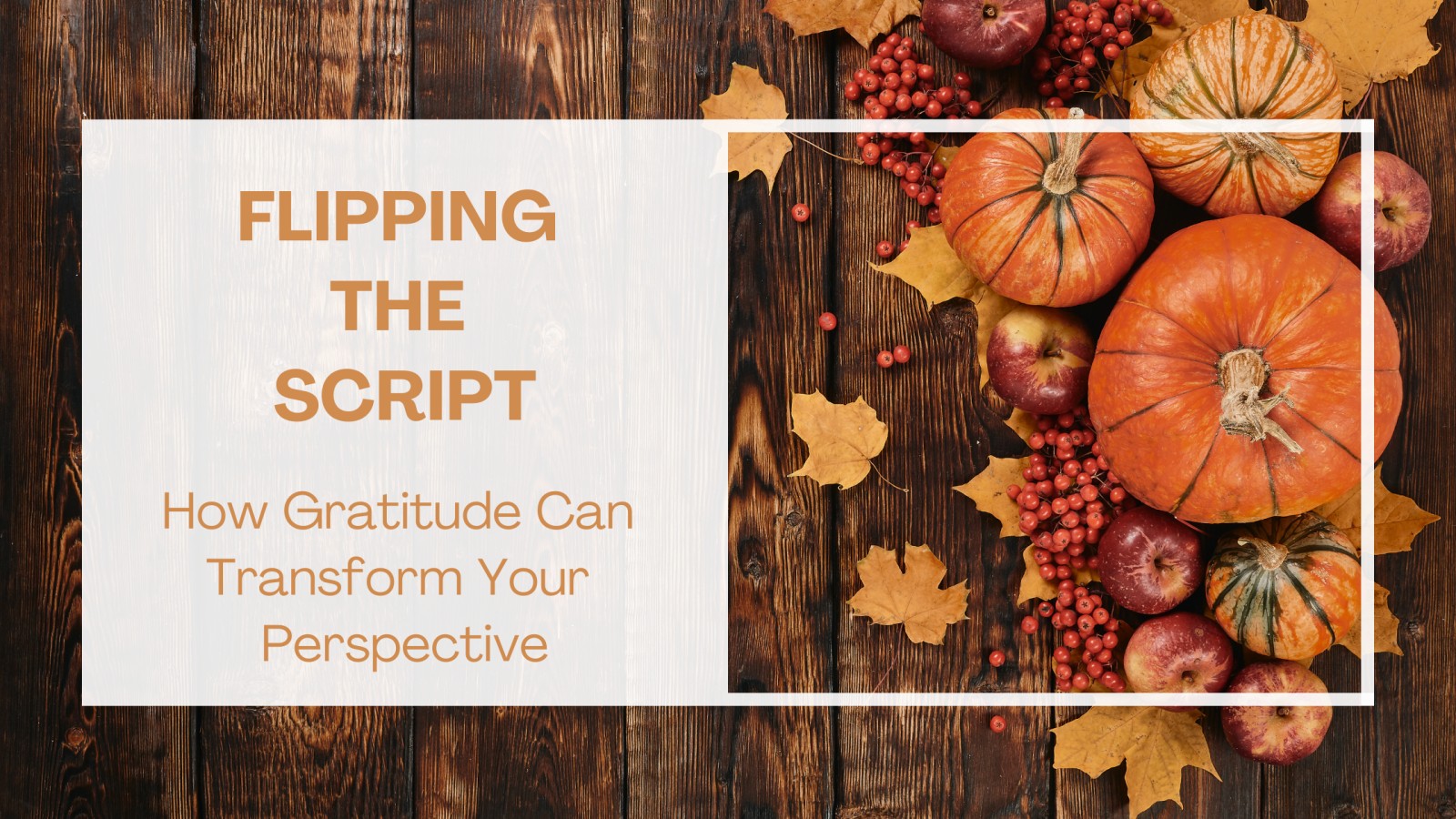 Flipping the Script: How Gratitude Can Transform Your Perspective