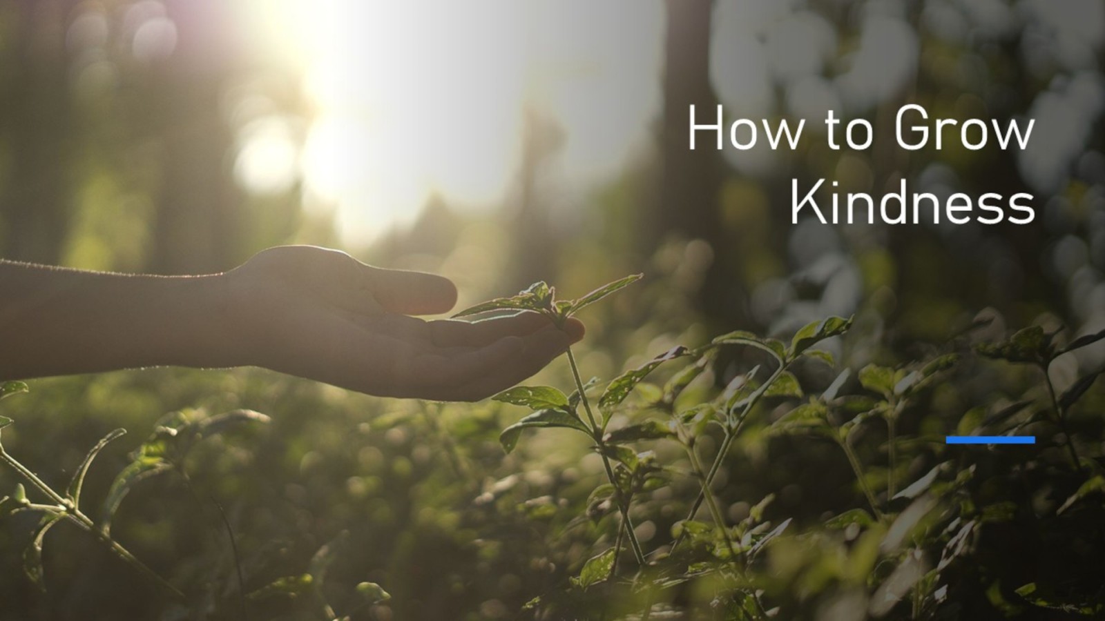 Class - How to Grow in Kindness