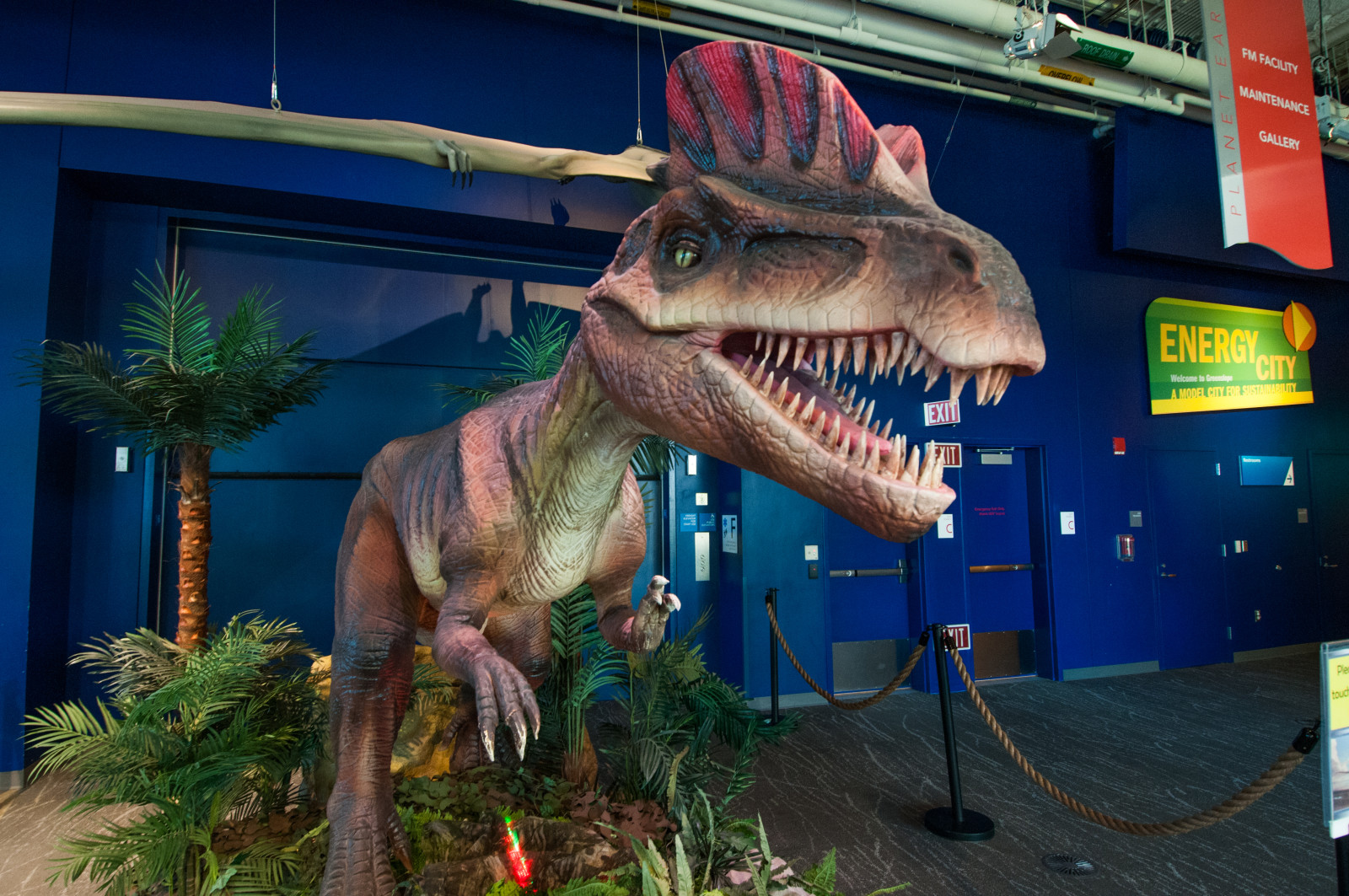 A Day at the Connecticut Science Center