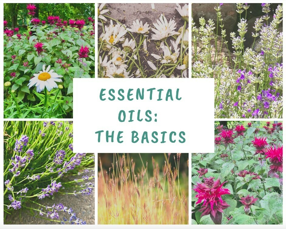 Essential Oils -the Basics