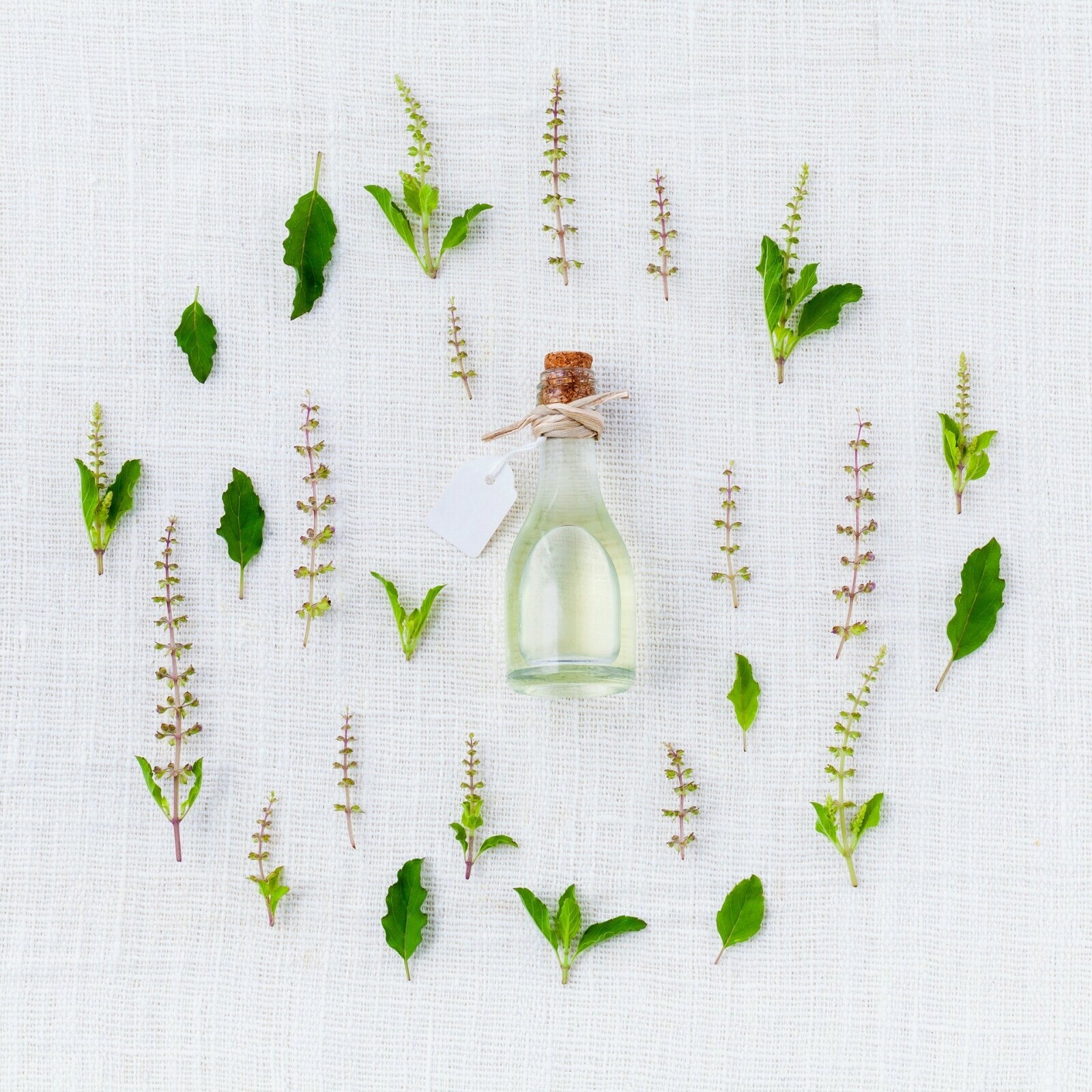 What Can You Expect from Your Aromatherapist?