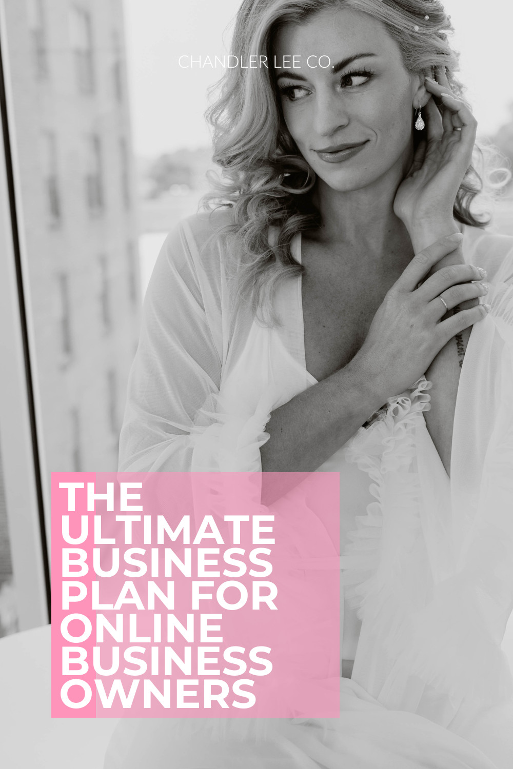 The Ultimate Business Plan for Online Business Owners