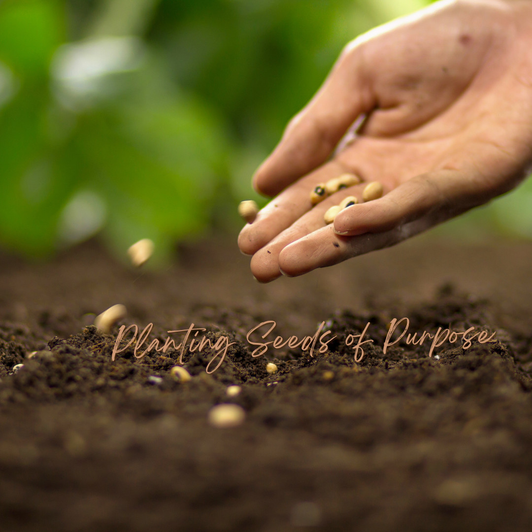 Planting Seeds of Purpose: Intention Setting with the Ancestors