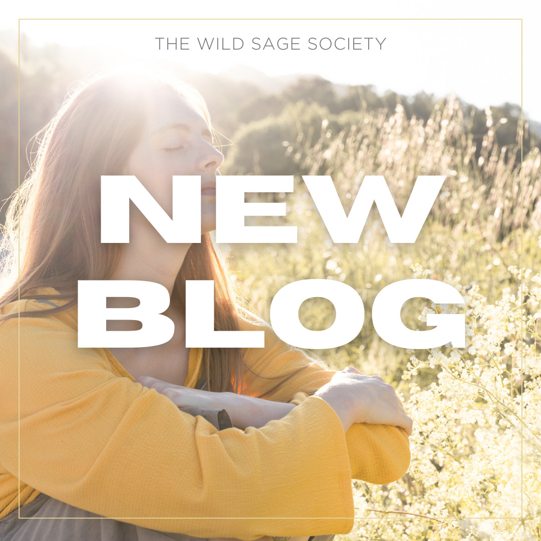 Foggy Brain, Scattered Thoughts: The Role of Cognitive Disruptors in Mental Clarity