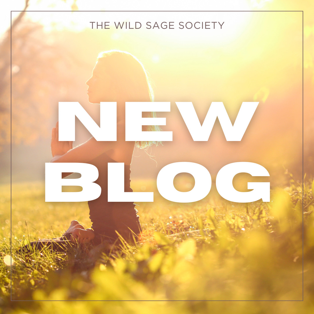 Healing Beyond Belief: What If Your Pain Was Actually Your Turning Point?