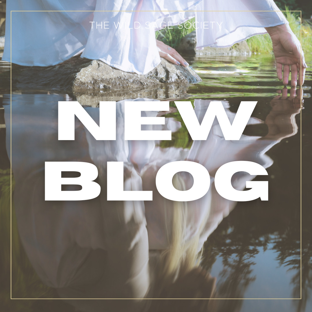 Rooted and Rising: The Sacred Season of Rebirth