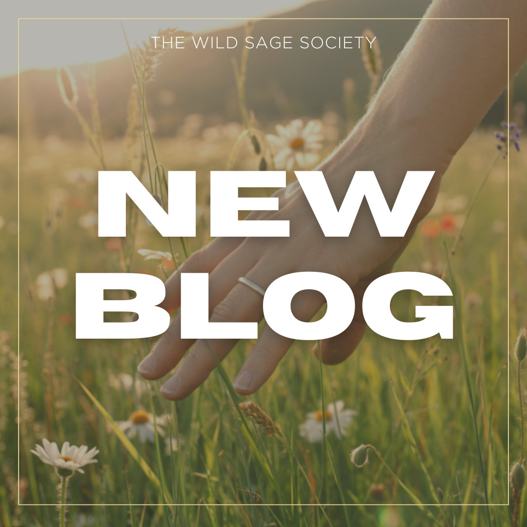 When the Body Speaks: My Journey Through Chronic Stress and Autoimmune Unraveling