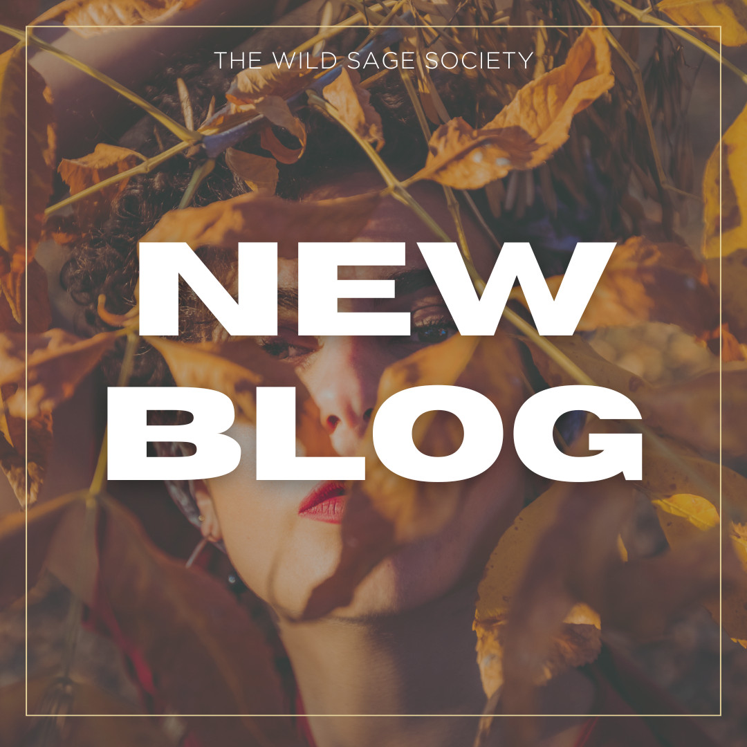 The Sacred Pause: Aligning with the Fall Equinox and Reclaiming Our Rhythms