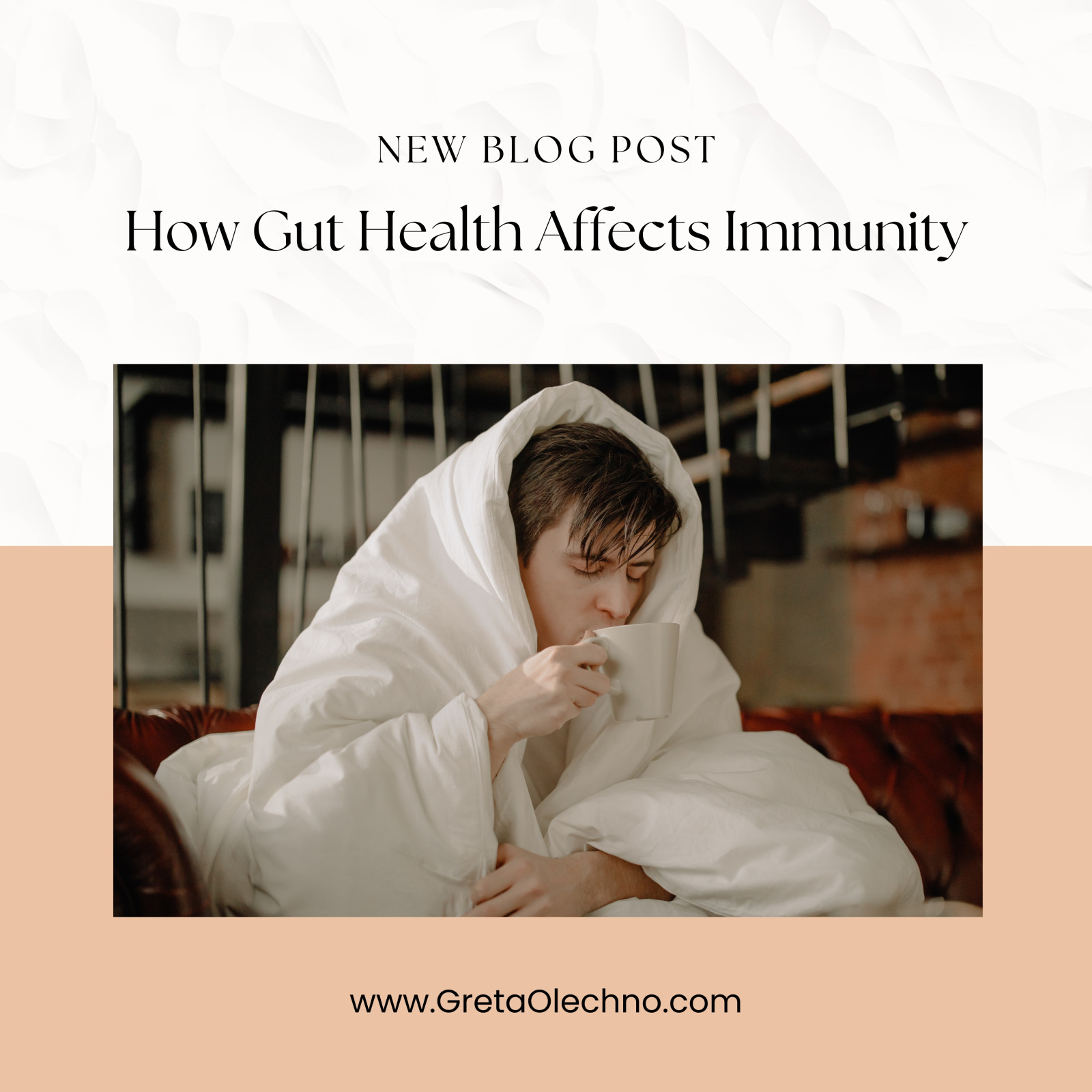 How Gut Health Affects Immunity