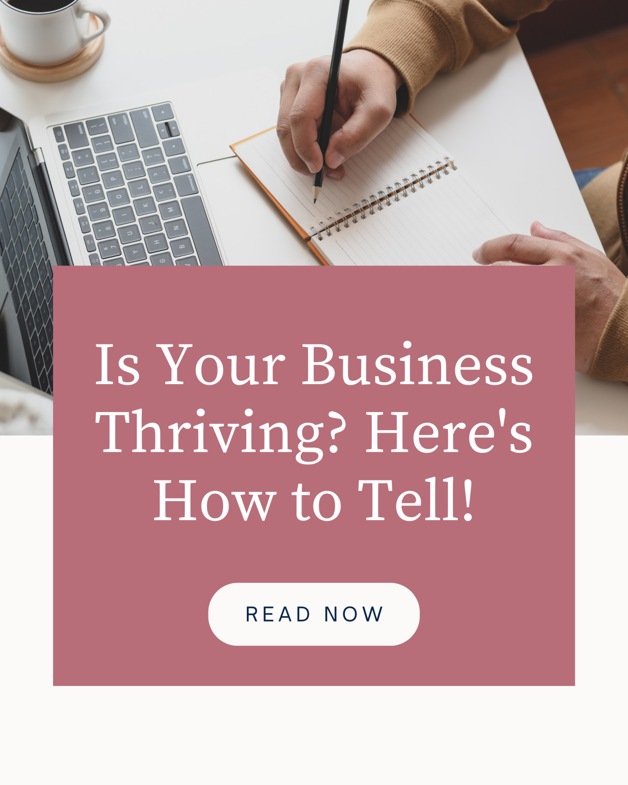 Is your business thriving??? Here's how to tell