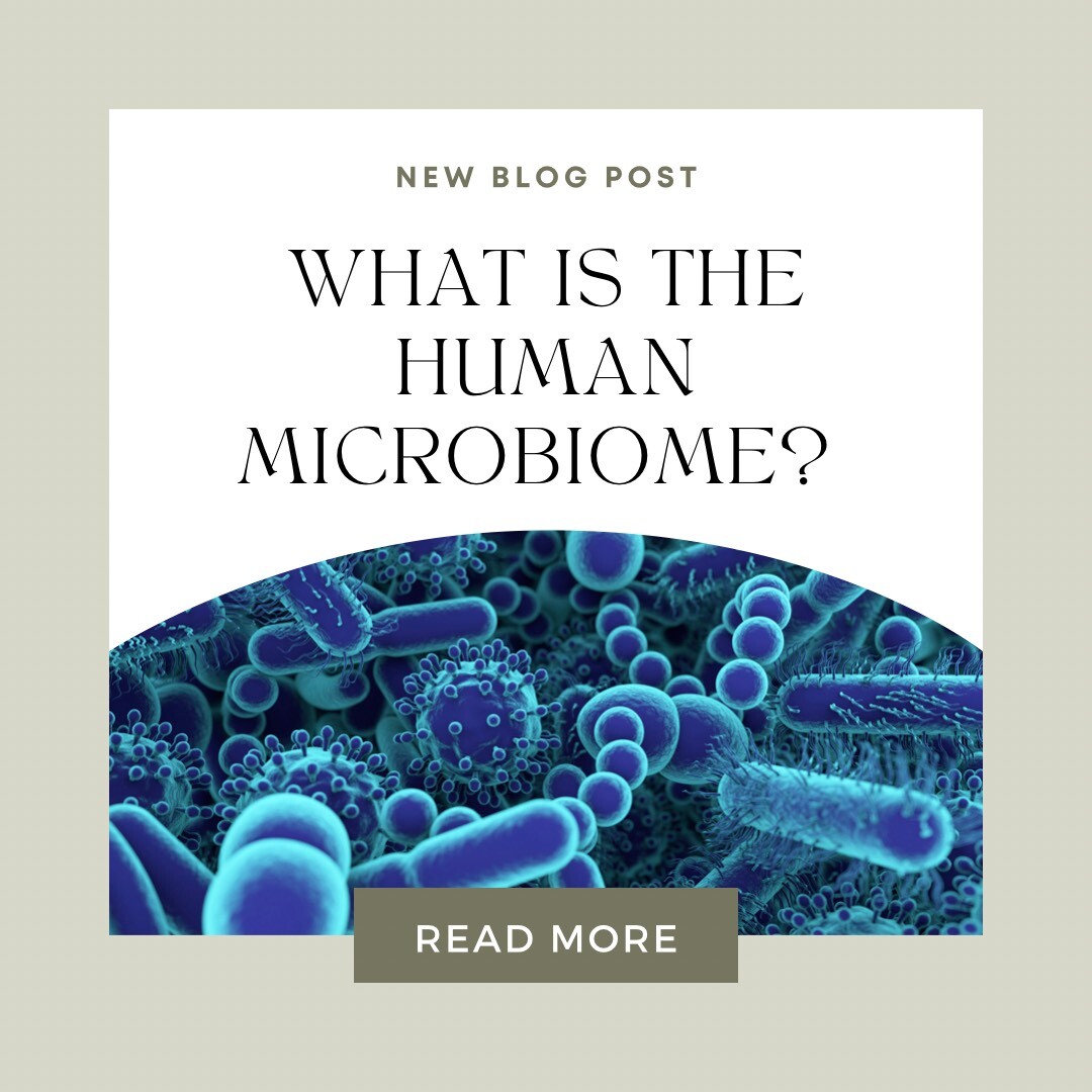 What is the Human Microbiome?