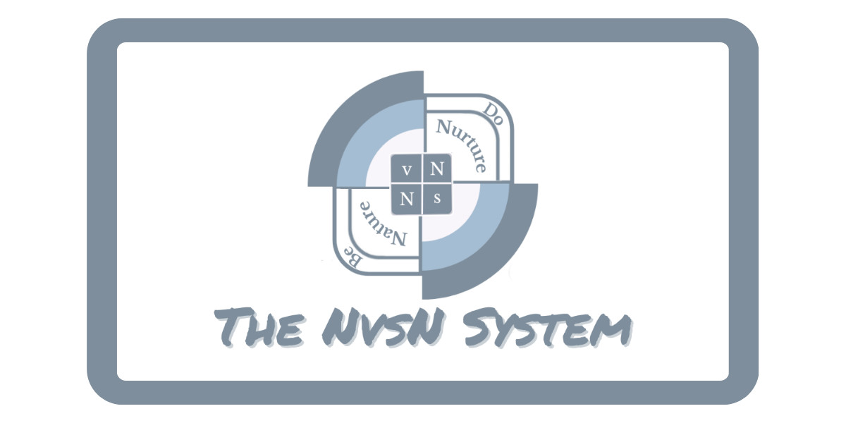 NvsN~IT: The NvsN System