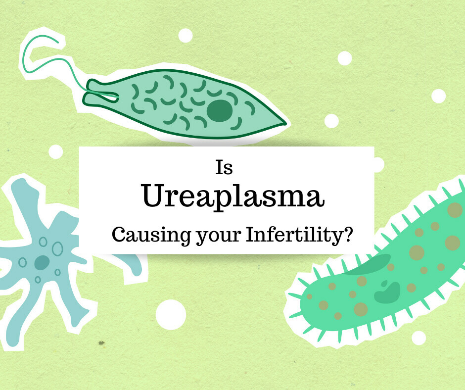 Can Ureaplasma cause infertility? The Test Fertility Dr.’s doesn’t want you to know about 