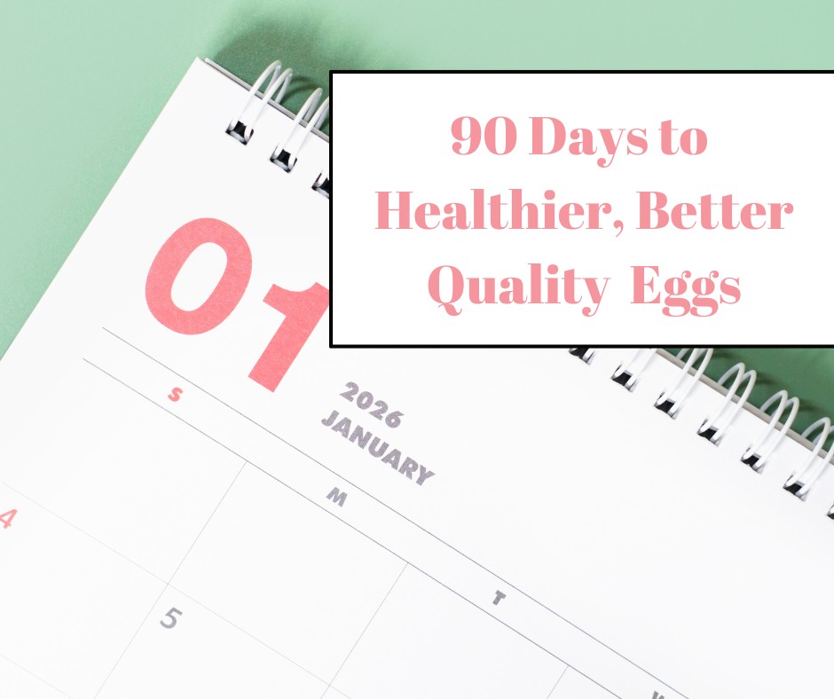 The First 90 Days of Your Fertility Blueprint: What to Focus on Right Now