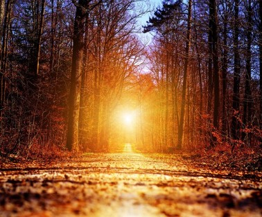 The Year of Breaking Through