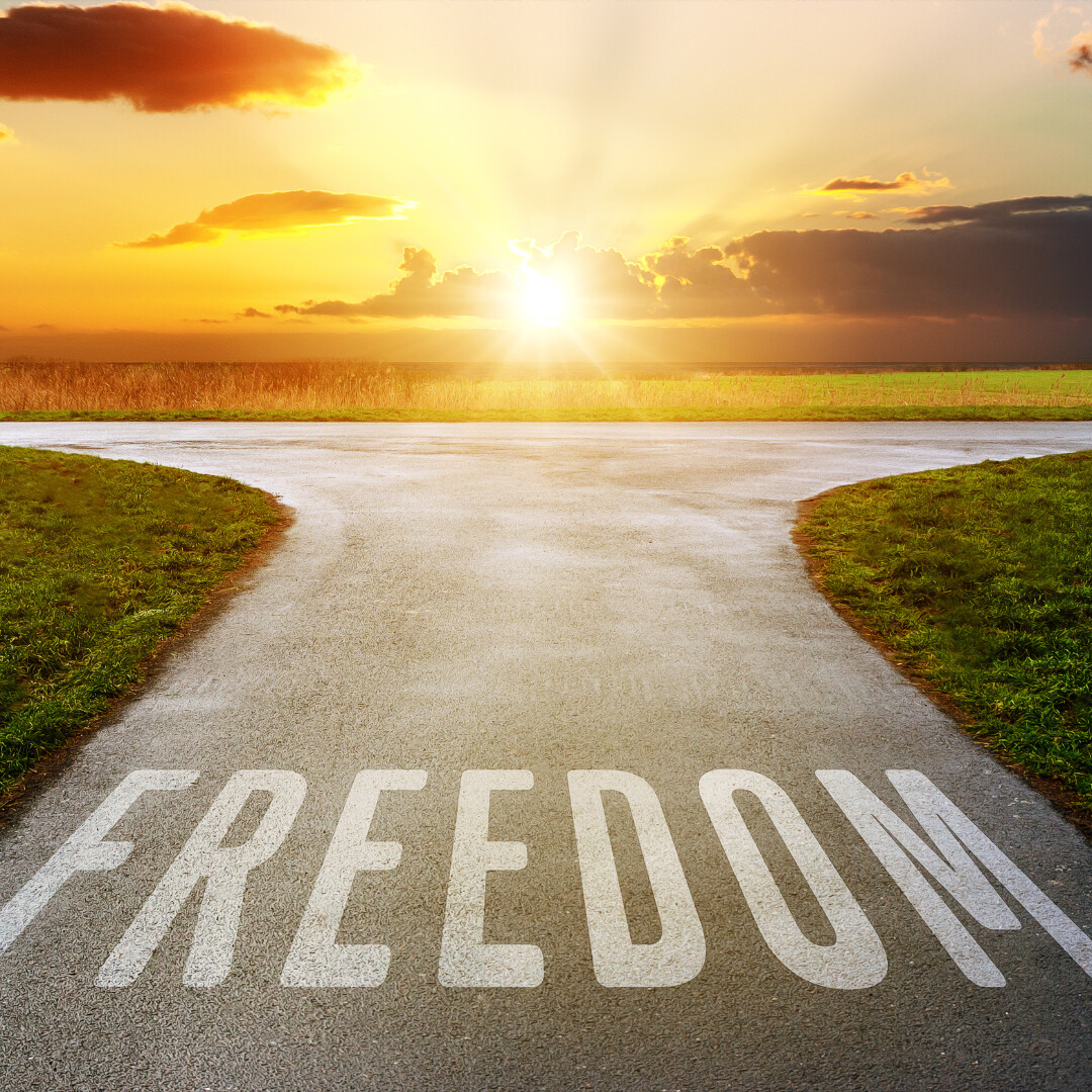 Creating Freedom in your Business